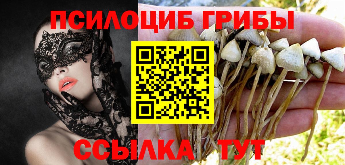 Галлюциногенные грибы ЛСД Ейск
